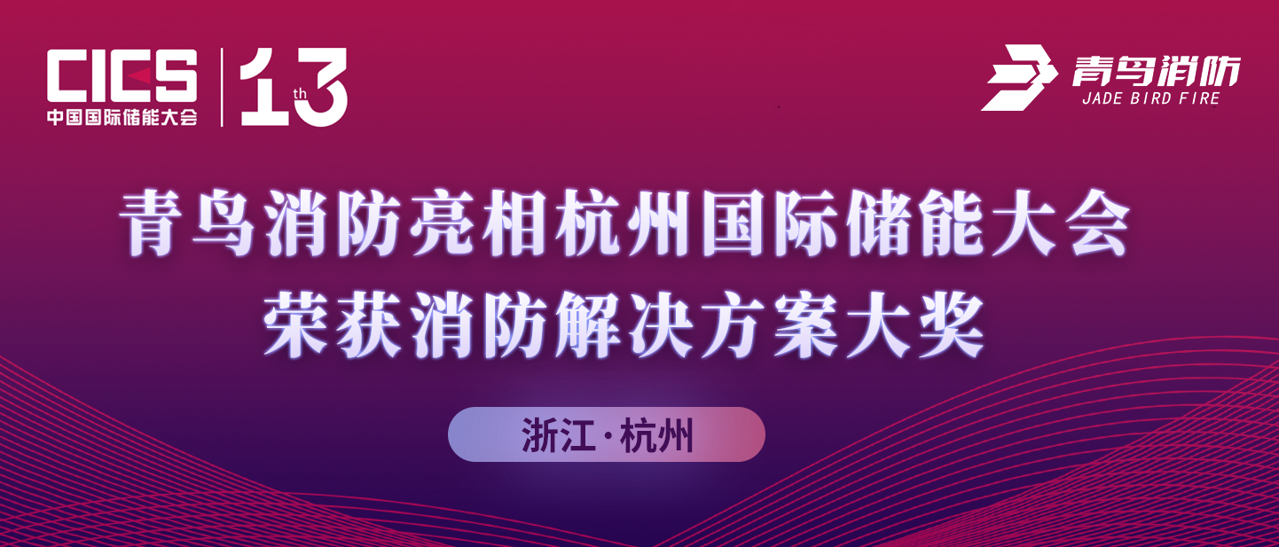 竞技宝官网下载消防亮相杭州竞技宝官网下载储能大会，荣获消防解决方案大奖