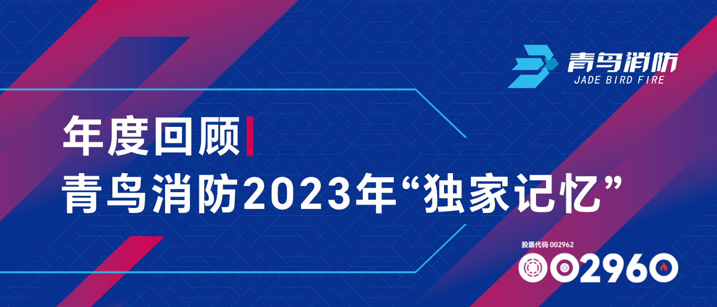 年度回顾 | 竞技宝官网下载消防2023年“独家记忆”